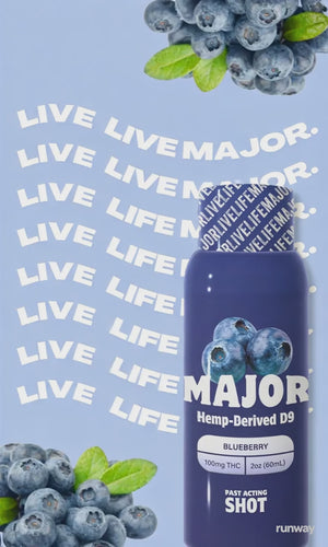 Hemp-Derived D9 Shot 100mg [Blueberry]